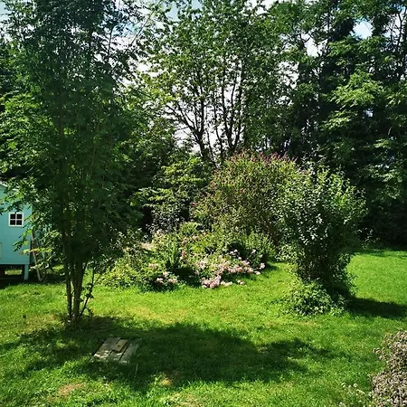 Cosy Living In Nature Homestay szállás *