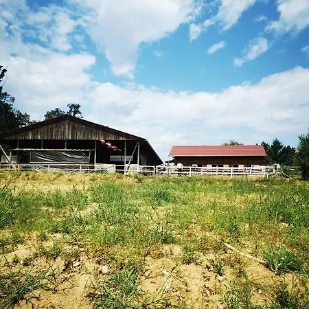 Homestay Cosy Living In Nature